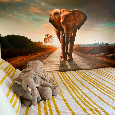 portfolio chambre
